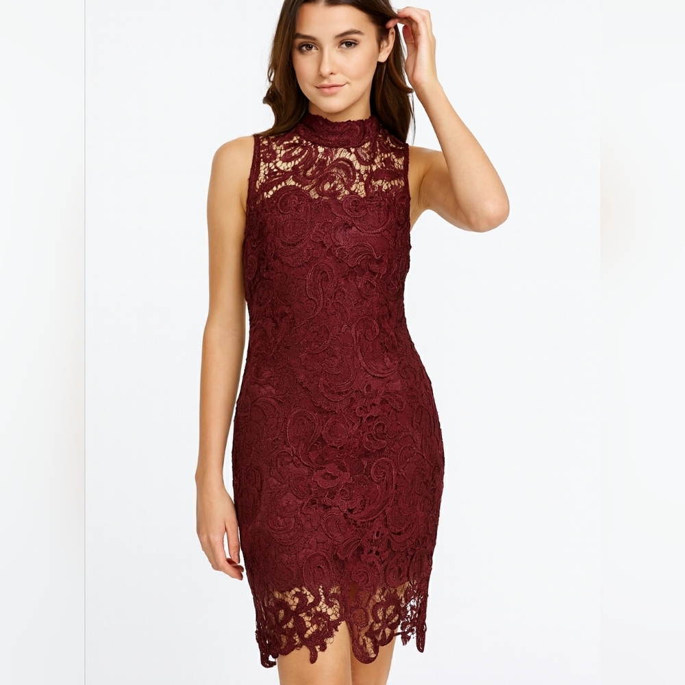 J. Gee by Anthropologie Lace Sleeveless Dress Size L Coquette Feminine Romantic